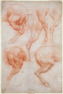 Études des membres postérieurs du cheval, vers 1508 - Leonardo da Vinci